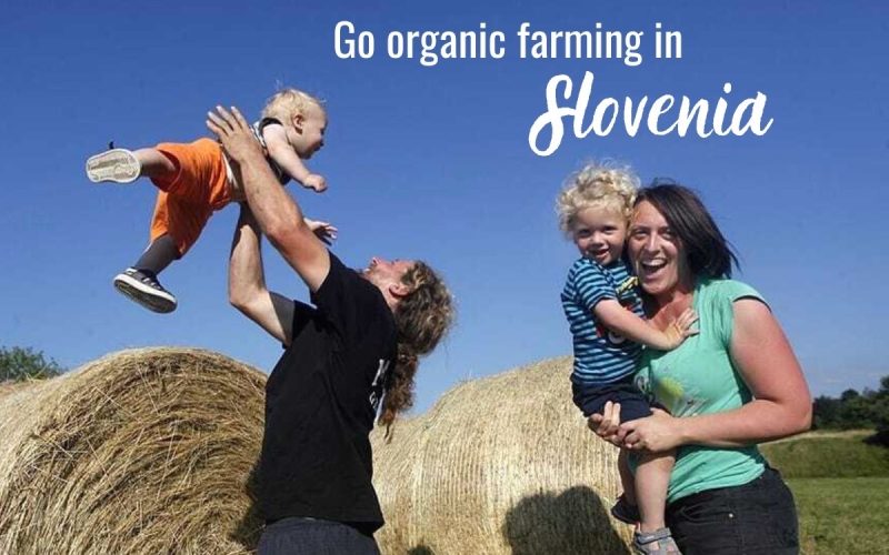 Volunteer on a Permaculture Farm in Slovenia – Live Sustainably