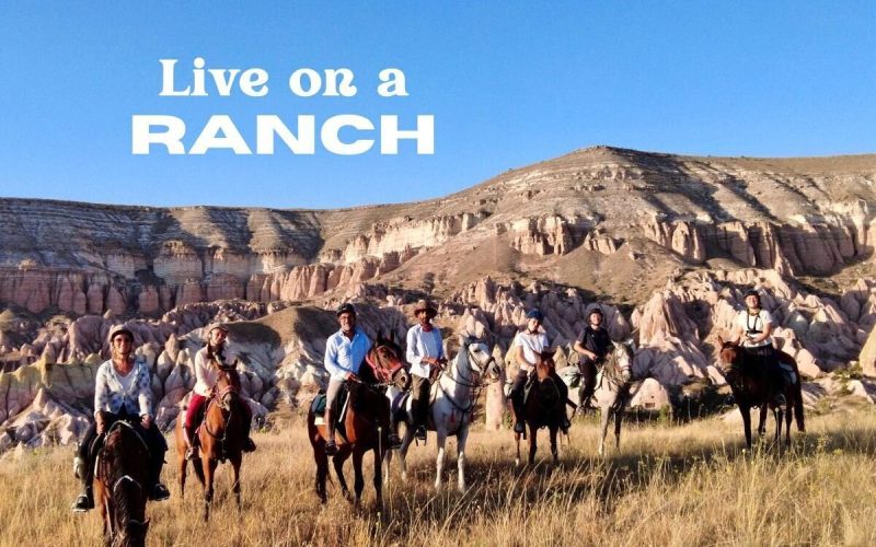 Volunteer at a Horse Ranch in Turkey – Unique Experience