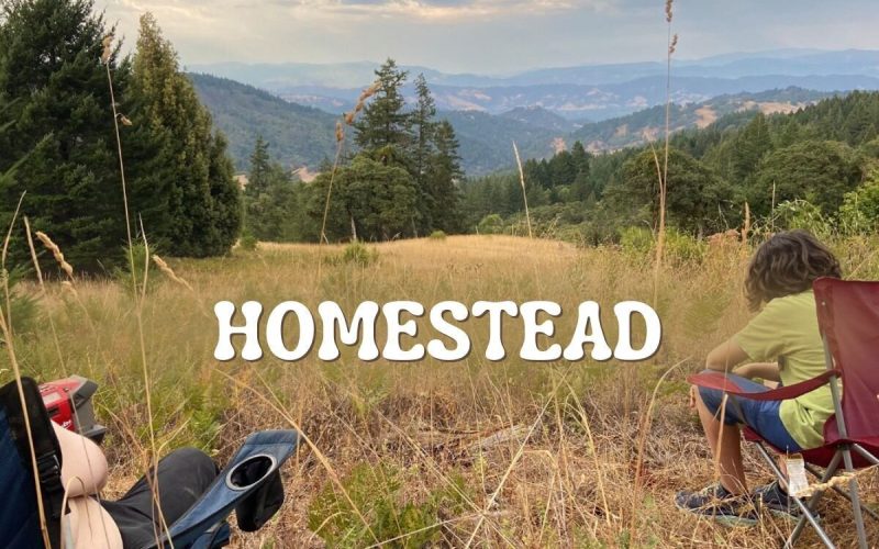 Volunteer on a Washington Homestead