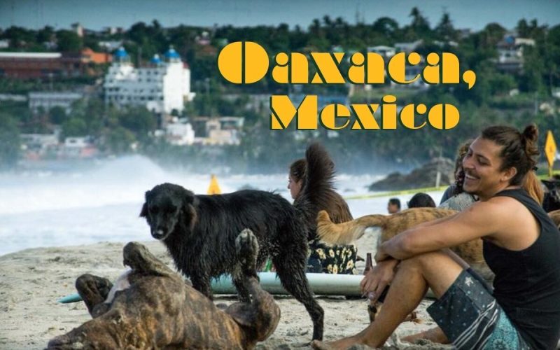 Volunteer in San Agustinillo: Help Build a Beach Home