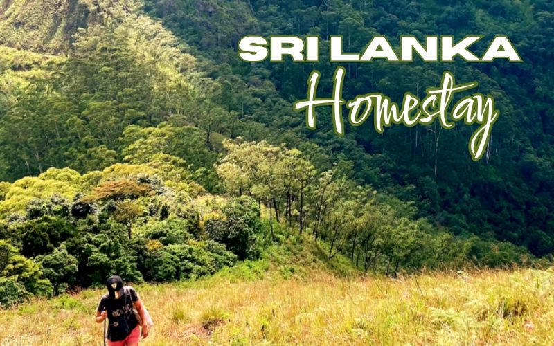 Volunteer in Sri Lanka Homestay | Robinson’s Path