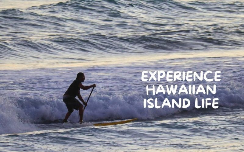 Learn to Build a Tiny House in Hawaii: Volunteer Stay