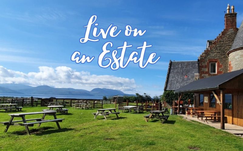 Volunteer Restoring Woodlands in England | Lake District Estate