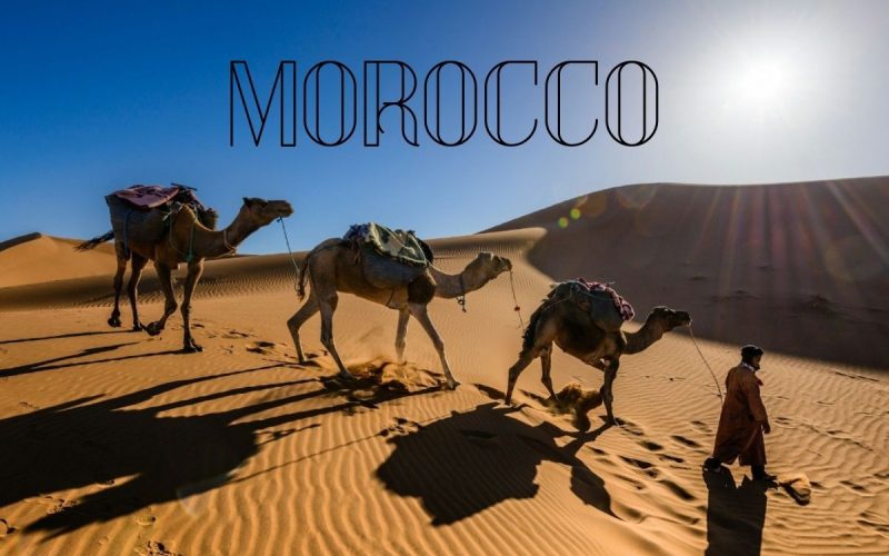 Volunteer in Tagounit on a Desert Farm Adventure