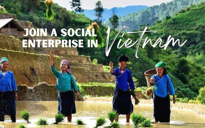 Farm Volunteering in Vietnam | Organic & Sustainable Farm Life