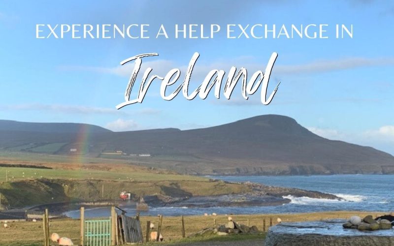 Volunteer on a Farm in Ireland – Hands-On Rural Experience