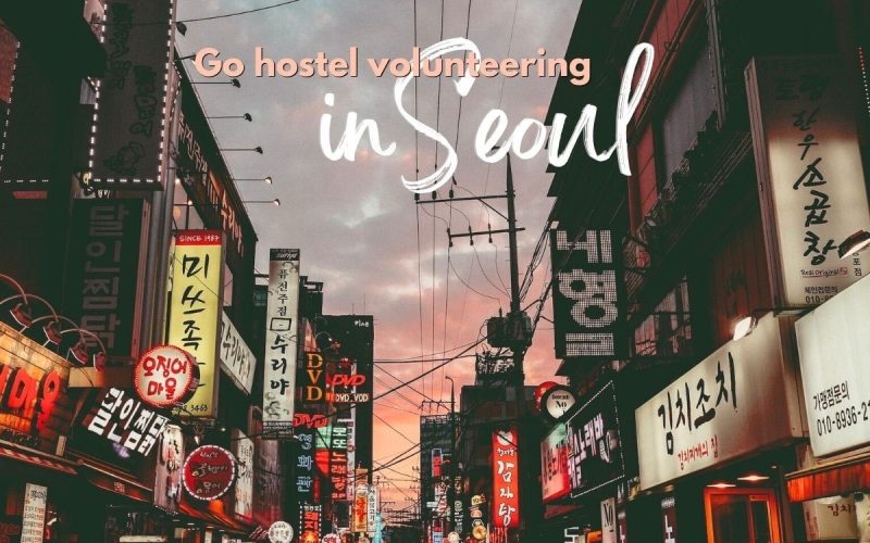 Hostel volunteer opportunity in Seoul, central stay & work