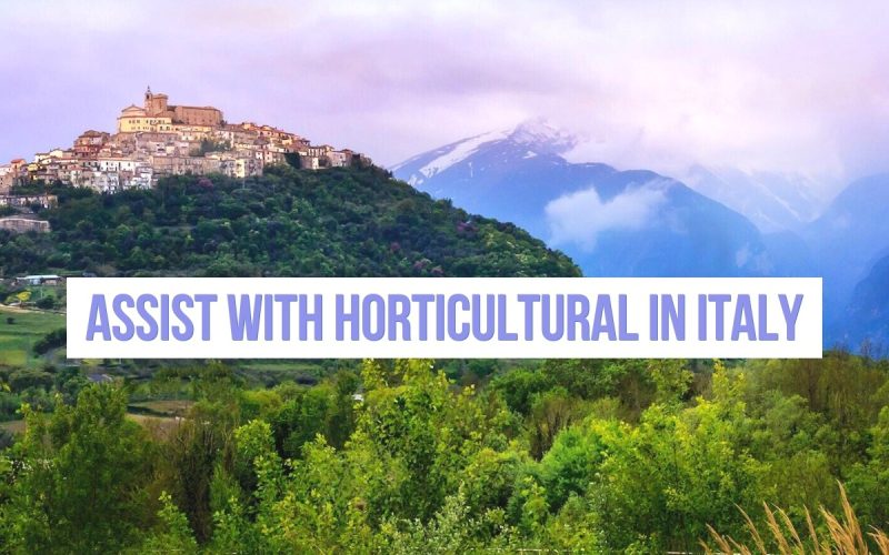 Volunteer on a Permaculture Farm in Italy Experience Life