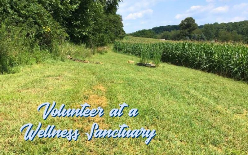 Wellness retreat volunteer opportunity in Pennsylvania