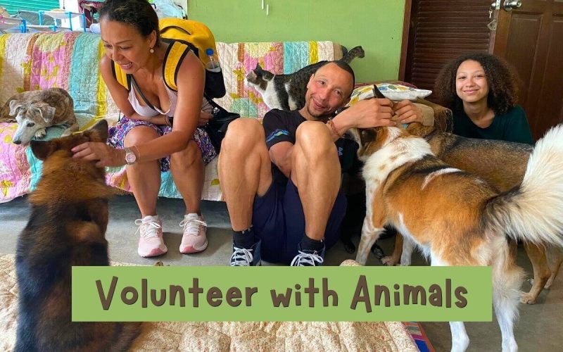 Volunteer at an Animal Sanctuary in Khon Kaen