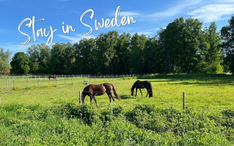 Farm and Garden Help in Sweden | Volunteer Opportunity